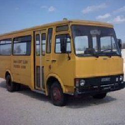 Chiarezza su trasporto scolastico e navetta Image