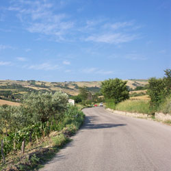 Terza Vianova