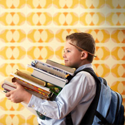 Allarme sicurezza, ispettori a scuola Scuola