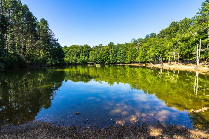 Turismo di prossimità: Fortore dimenticato, Monti Dauni valorizzati Turismo di prossimità: Fortore dimenticato, Monti Dauni valorizzati